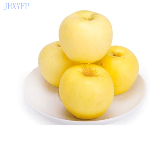 Bright Yellow Apples