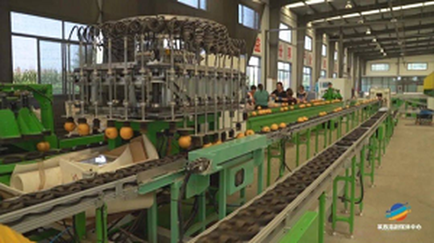 Prvé fórum o pôvode štandardizácie ovocia