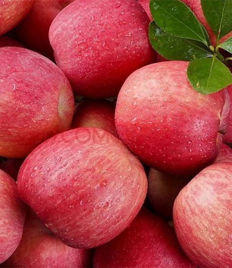 Všetky druhy jabĺk