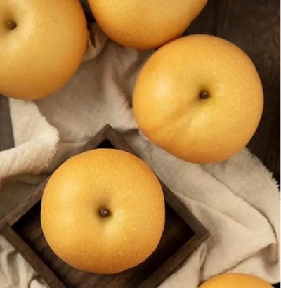 Obrovská ázijská hruška